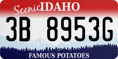 ID license plate 3B8953G
