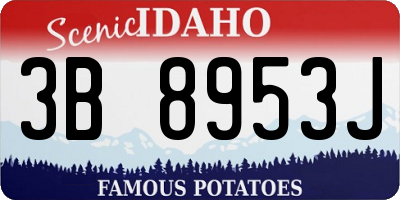 ID license plate 3B8953J