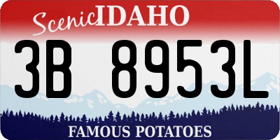 ID license plate 3B8953L