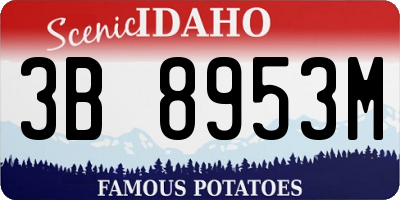 ID license plate 3B8953M