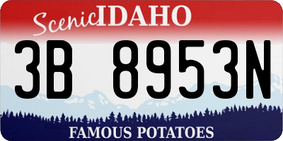 ID license plate 3B8953N