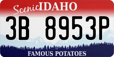 ID license plate 3B8953P