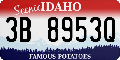 ID license plate 3B8953Q