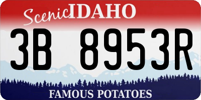 ID license plate 3B8953R