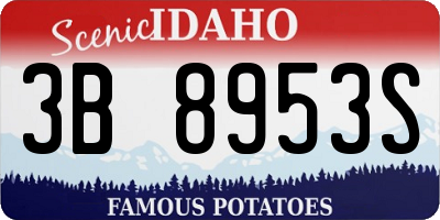 ID license plate 3B8953S