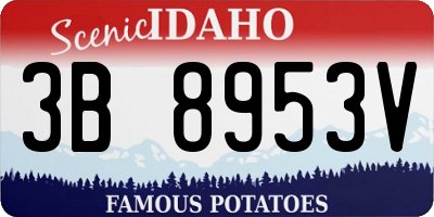 ID license plate 3B8953V