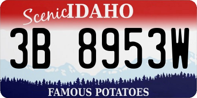 ID license plate 3B8953W