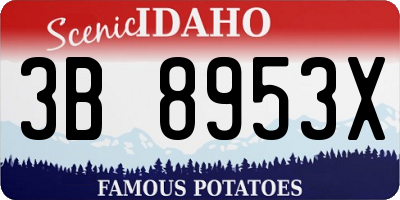 ID license plate 3B8953X