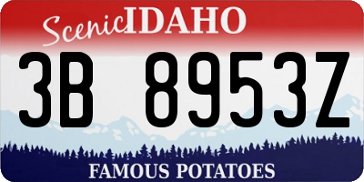 ID license plate 3B8953Z