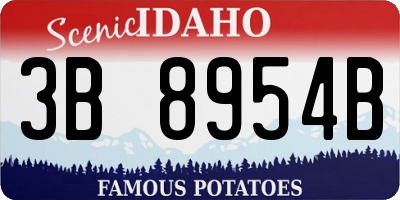 ID license plate 3B8954B