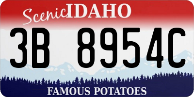 ID license plate 3B8954C