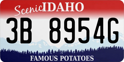 ID license plate 3B8954G