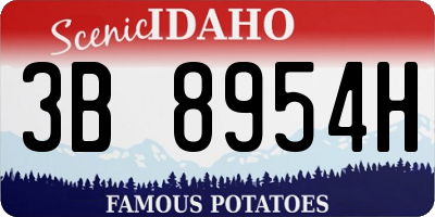 ID license plate 3B8954H