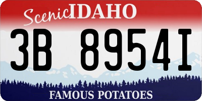 ID license plate 3B8954I