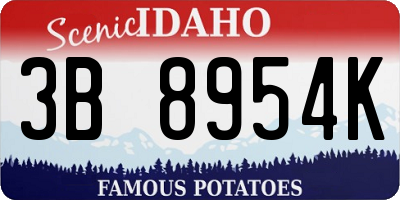 ID license plate 3B8954K