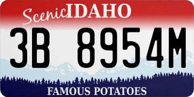 ID license plate 3B8954M