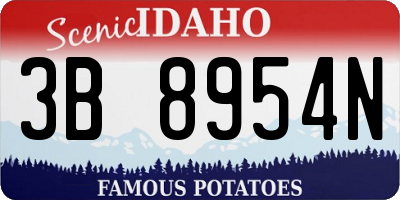 ID license plate 3B8954N