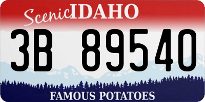ID license plate 3B8954O