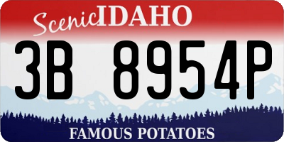 ID license plate 3B8954P