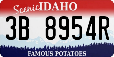ID license plate 3B8954R