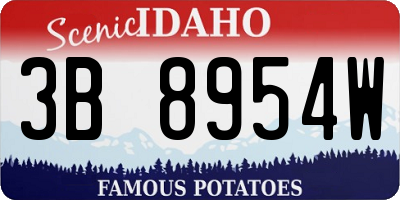 ID license plate 3B8954W