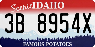 ID license plate 3B8954X