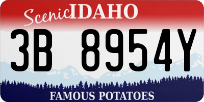 ID license plate 3B8954Y