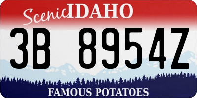ID license plate 3B8954Z