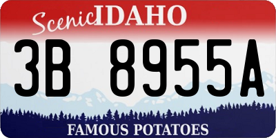 ID license plate 3B8955A
