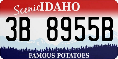 ID license plate 3B8955B