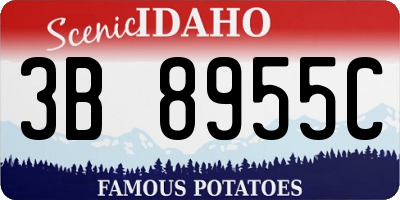 ID license plate 3B8955C