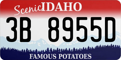ID license plate 3B8955D