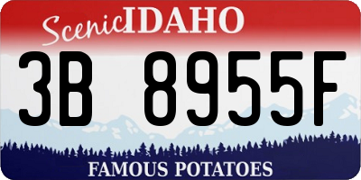 ID license plate 3B8955F
