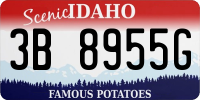 ID license plate 3B8955G