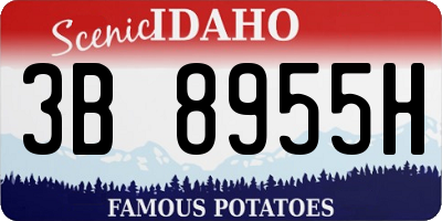 ID license plate 3B8955H
