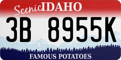 ID license plate 3B8955K