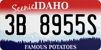 ID license plate 3B8955S