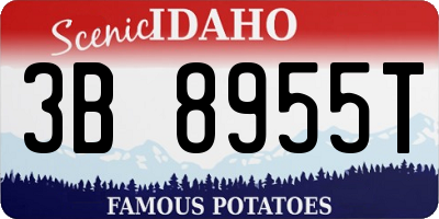 ID license plate 3B8955T