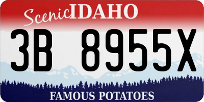 ID license plate 3B8955X