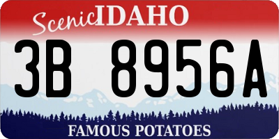 ID license plate 3B8956A