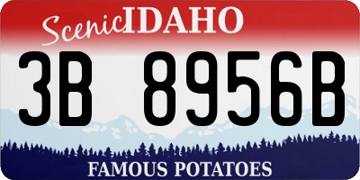 ID license plate 3B8956B