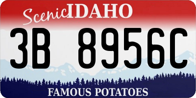 ID license plate 3B8956C