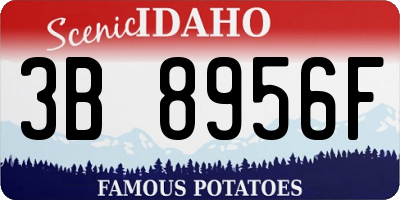 ID license plate 3B8956F