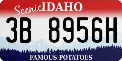 ID license plate 3B8956H