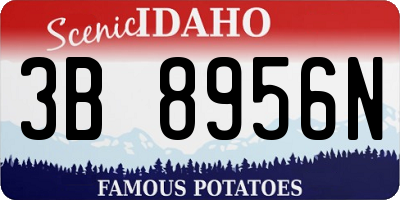 ID license plate 3B8956N