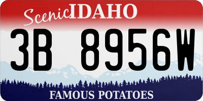 ID license plate 3B8956W