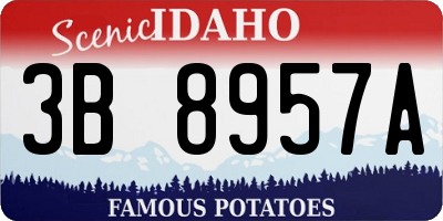 ID license plate 3B8957A