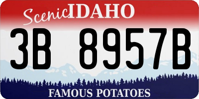 ID license plate 3B8957B
