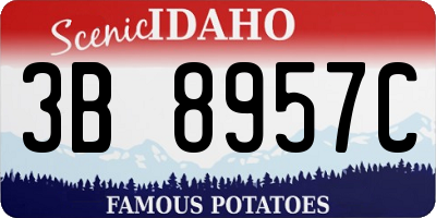 ID license plate 3B8957C