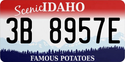 ID license plate 3B8957E